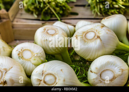 Finocchi in vendita in stallo del mercato Foto Stock