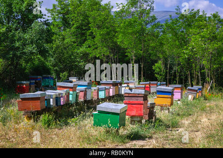 Gli alveari colorati ospitano le api che producono miele di campagna in Abruzzo. Abruzzo, Italia, Europa Foto Stock