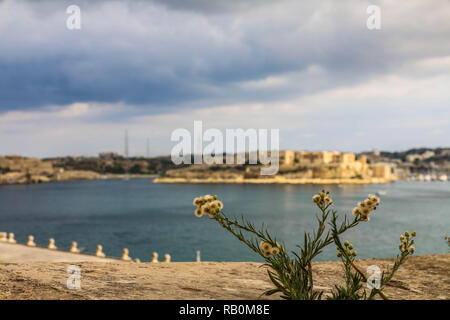 Vista panoramica intorno a La Valletta harbour con molti piccoli e grandi navi e barche a La Valletta, Malta Foto Stock