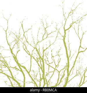 Acquerello verde ramo di albero la configurazione di sfondo, illustrazione vettoriale Illustrazione Vettoriale