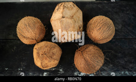 Da sopra vista di tutta la noce di cocco in scuro legno naturale sfondo texture. RF di close-up di una fotografia. San Andrés, Colombia Foto Stock