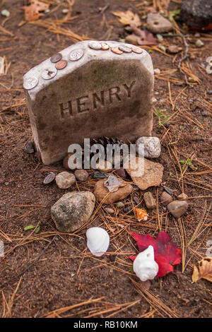 Henry David Thoreau la sua tomba nel cimitero vuoto Sleepy, concordia, MA Foto Stock