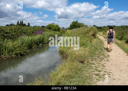 Rambler a piedi su Titchfield Haven vicino al fiume Mion vicino a Stubbington, Hampshire, Inghilterra, Regno Unito Foto Stock