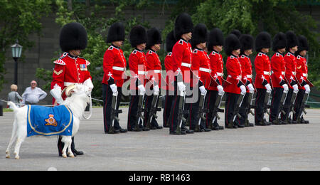 Viste del cambio della guardia in La Citadelle, Québec, Canada Foto Stock