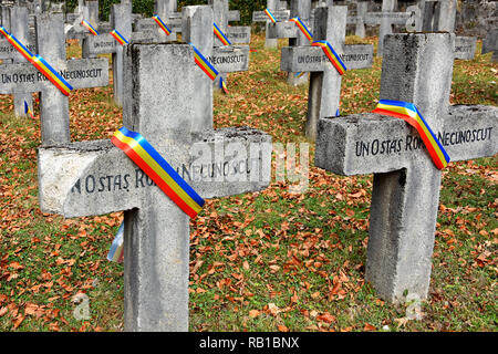 SINAIA, Romania - 25 gennaio 2018. Il Cimitero degli eroi in Sinaia, Contea di Prahova, Romania. Foto Stock