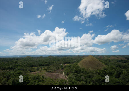 Chocolate Hills - Bohol, Filippine Foto Stock