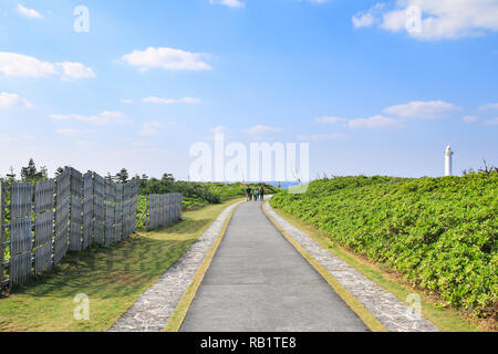 Piccolo sentiero nel Parco di Cape Zanpa a Okinawa, Giappone Foto Stock