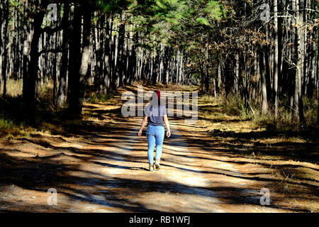 Giovani femmine escursionista camminare da solo su una strada di servizio / trail in Sam Houston National Forest in Texas. Foto Stock