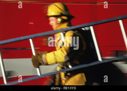 Un vigile del fuoco in piena affluenza registrata è portatore di una scala in corrispondenza di un sito di fuoco, STATI UNITI D'AMERICA Foto Stock