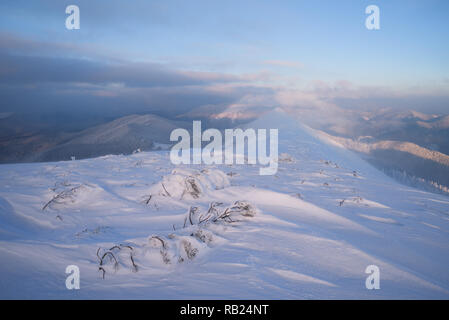 Paesaggio invernale all'alba. Cime di montagna nella nebbia e nuvole. Molto fredda mattina. Carpazi, Ucraina, Europa Foto Stock