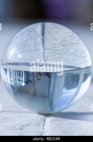 Gatti di razza Siberiana, brown tabby colore. Piuttosto gattini indoor in relax, vista in una sfera di lente Foto Stock