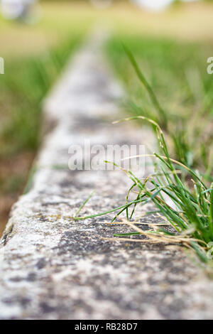 Linea di confine nel manto erboso realizzato di calcare Foto Stock