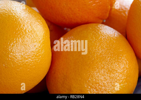 Vista dettagliata del tutto diversi arance navel (Citrus x sinensis) Foto Stock
