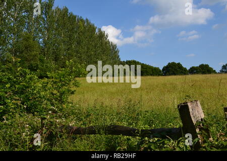 Bella campagna a sud est del castello di Hever, vicino al sito del Festival Neverworld su un caldo giugno del giorno nel Weald of Kent Foto Stock