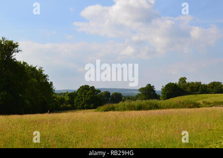 Bella campagna a sud est del castello di Hever, vicino al sito del Festival Neverworld su un caldo giugno del giorno nel Weald of Kent Foto Stock