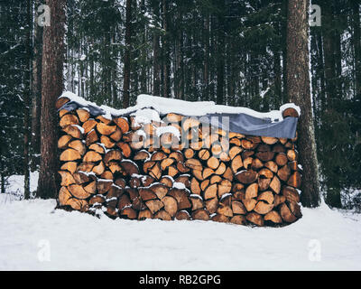 Immagine del mucchio di legna con la neve nella foresta in inverno Foto Stock