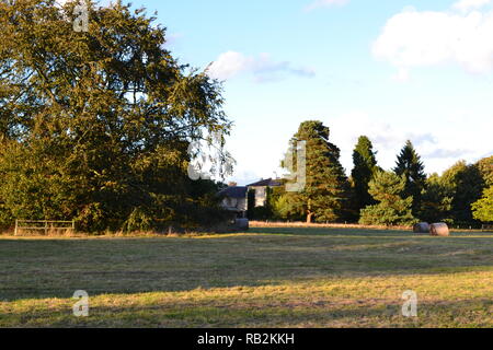 Un prato erboso dietro Down House, casa di Charles Darwin, gestito dalla tradizione inglese. In Downe Village, vicino a Biggin Hill, Bromley, Kent, Inghilterra. Autunno Foto Stock