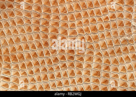 La custodia in vera pelle con texture goffrato scale di rettile esotico, luce arancione marrone superficie, sfondo alla moda Foto Stock