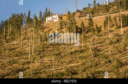 Traversata alpina del ciclone Adrian (noto anche con il nome di Vaia) la tempesta Vaia ha causato notevoli danni alle foreste italiane, soprattutto nel nord-est d'Italia. Ottobre 2018 Foto Stock