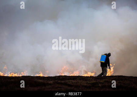 Heather moorland masterizzazione in piccole aree del Pennine Moors sulla base di una rotazione nei mesi invernali per creare un habitat per la pernice per la ripresa. Foto Stock