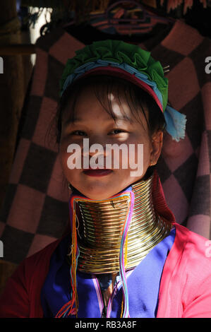 Giovane donna Kayan Lahwi con anelli di ottone distintivi, provincia di Chiang mai, Thailandia Foto Stock