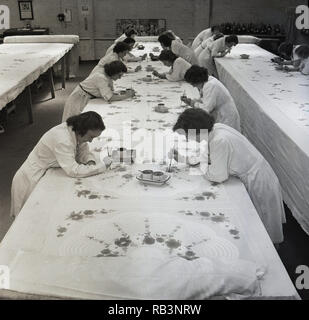 Degli anni Cinquanta, le donne irlandesi dipinto a mano fiori e schemi sul tessuto di lino e tessili, Irlanda del Nord, Regno Unito. In questa epoca,'industria del lino è stato un importante datore di lavoro e quasi tutti i villaggi e città in Irlanda del Nord aveva un mulino tessile o di fabbrica. Foto Stock