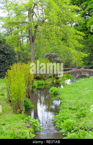 Stream serpeggianti attraverso prati fioriti, felci, giovani foglie verdi alberi, un antico ponte in pietra, inglese campagna parco, la primavera . Foto Stock