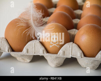 Cranio e timbro crossbones sulle uova di gallina. Antiparassitari il concetto di contaminazione Foto Stock