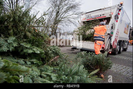 Laatzen, Germania. 07Th gen, 2019. I dipendenti dell'aha da Zweckverband Abfallwirtschaft Regione Hannover raccogliere utilizzati abeti su strada. In primo luogo esse hanno glitter e lucentezza, allora cominciano ad ago: dopo l'Epifania il 6 gennaio, la maggior parte degli alberi di Natale scompaiono dalle stanze di vita - anche in Bassa Sassonia e di Brema. Credito: Julian Stratenschulte/dpa/Alamy Live News Foto Stock