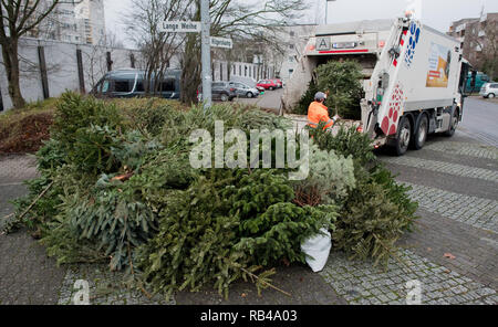 Laatzen, Germania. 07Th gen, 2019. I dipendenti dell'aha da Zweckverband Abfallwirtschaft Regione Hannover raccogliere utilizzati abeti su strada. In primo luogo esse hanno glitter e lucentezza, allora cominciano ad ago: dopo l'Epifania il 6 gennaio, la maggior parte degli alberi di Natale scompaiono dalle stanze di vita - anche in Bassa Sassonia e di Brema. Credito: Julian Stratenschulte/dpa/Alamy Live News Foto Stock