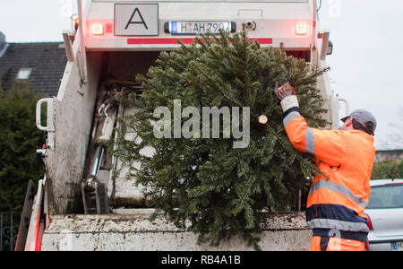 Laatzen, Germania. 07Th gen, 2019. I dipendenti dell'aha da Zweckverband Abfallwirtschaft Regione Hannover raccogliere utilizzati abeti su strada. In primo luogo esse hanno glitter e lucentezza, allora cominciano ad ago: dopo l'Epifania il 6 gennaio, la maggior parte degli alberi di Natale scompaiono dalle stanze di vita - anche in Bassa Sassonia e di Brema. Credito: Julian Stratenschulte/dpa/Alamy Live News Foto Stock