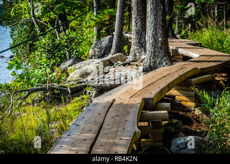 Una splendida vista della foresta nel parco nazionale di Acadia, Maine Foto Stock