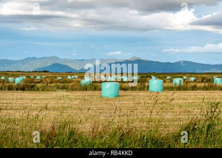 Le balle per insilamento su un campo con una montagna in background Foto Stock