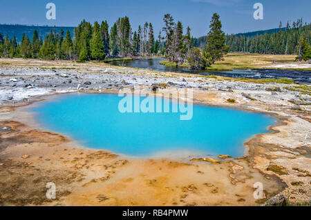 Bacino del biscotto springl calda, il Parco Nazionale di Yellowstone, STATI UNITI D'AMERICA Foto Stock