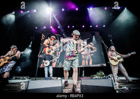 La band americana Hayseed Dixie esegue un concerto dal vivo presso il Danish folk, blues e il festival della musica country Tønder Festival 2015. Qui il musicista John Wheeler è visto dal vivo sul palco. Danimarca, 27/08 2015. Ad eccezione della Danimarca Foto Stock