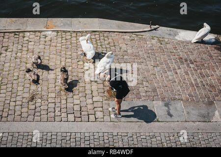 Praga, Repubblica Ceca - Agosto 23, 2018: Donna di scattare le foto dei cigni lungo gli argini del fiume Moldava a Praga in una calda giornata estiva. Vltava è il Foto Stock