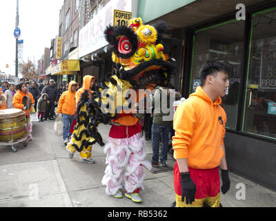 Lion ballerini portare buona fortuna e prosperità ai cinesi di proprietà memorizza nella sezione di Bensonhurst di Brooklyn per il Capodanno cinese, 2017. Foto Stock