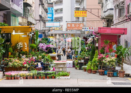 Piccolo mercato dei fiori lungo Gresson St, Wan Chai, Hong Kong Foto Stock