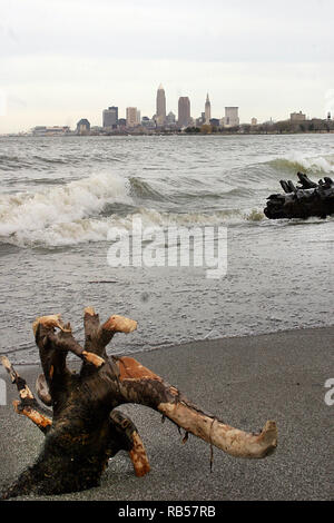 Tronchi di alberi morti sulle rive del lago Erie a Cleveland, Ohio, Stati Uniti Foto Stock