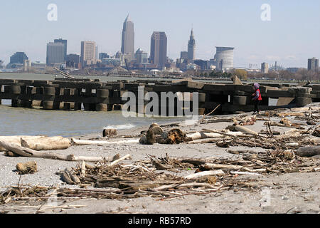 Tronchi di alberi morti sulle rive del lago Erie a Cleveland, Ohio, Stati Uniti Foto Stock