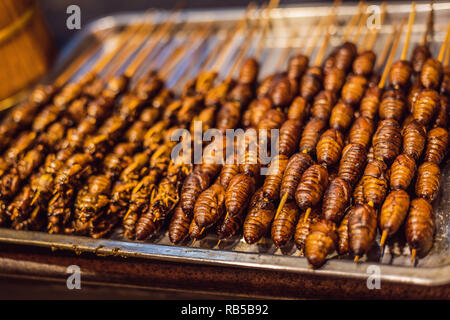 Grill e fritto silkworm pupe su stick da Wangfujing street a Pechino, Cina Foto Stock