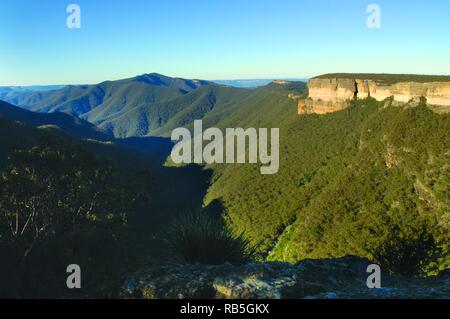 Pareti Kanangra, Kanangra-Boyd National Park, Nuovo Galles del Sud Foto Stock