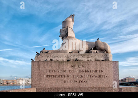 San Pietroburgo. La Russia. Antico egiziano sphinx con la faccia del faraone Amenhotep III sul terrapieno Universitetskaya Foto Stock