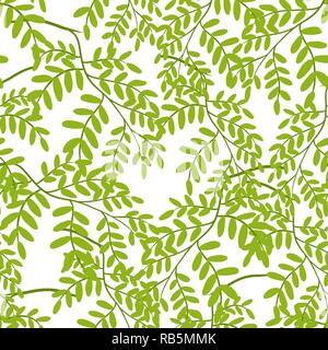 Modello senza cuciture con foglie di acacia. Illustrazione Vettoriale