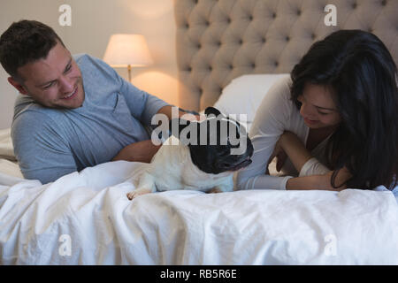 Giovane giocando con il loro cane in camera da letto Foto Stock