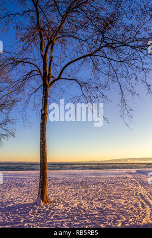 Arbon, Lago di Costanza, Svizzera Foto Stock
