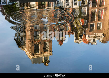 Sbarco di aringhe europea gabbiano (Larus argentatus) ) nel canale chiamato Prinsengracht Amsterdam, Paesi Bassi. Foto Stock