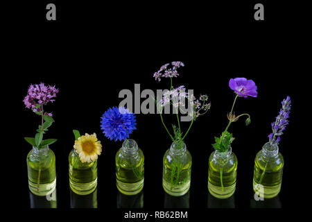 Diversi fiori di guarigione in piccoli flaconi di vetro su wblackhite Foto Stock