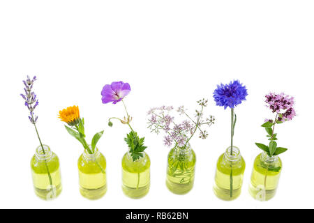 Diversi fiori di guarigione in piccoli flaconi di vetro su bianco Foto Stock