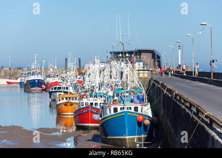 Barche da pesca nel porto di Bridlington, Bridlington, East Riding of Yorkshire, Inghilterra, Regno Unito Foto Stock